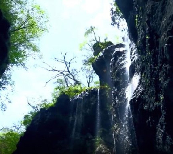 青山綠水，白龍江畔江畔息白鷺，兩岸綠橄欖入眼的都是純樸自然枝上花開(kāi)，春來(lái)水暖魚(yú)蝦戲水，鳥(niǎo)語(yǔ)花香心中充滿(mǎn)著舒暢之感祥宇生態(tài)產(chǎn)業(yè)園，位于隴南市武..